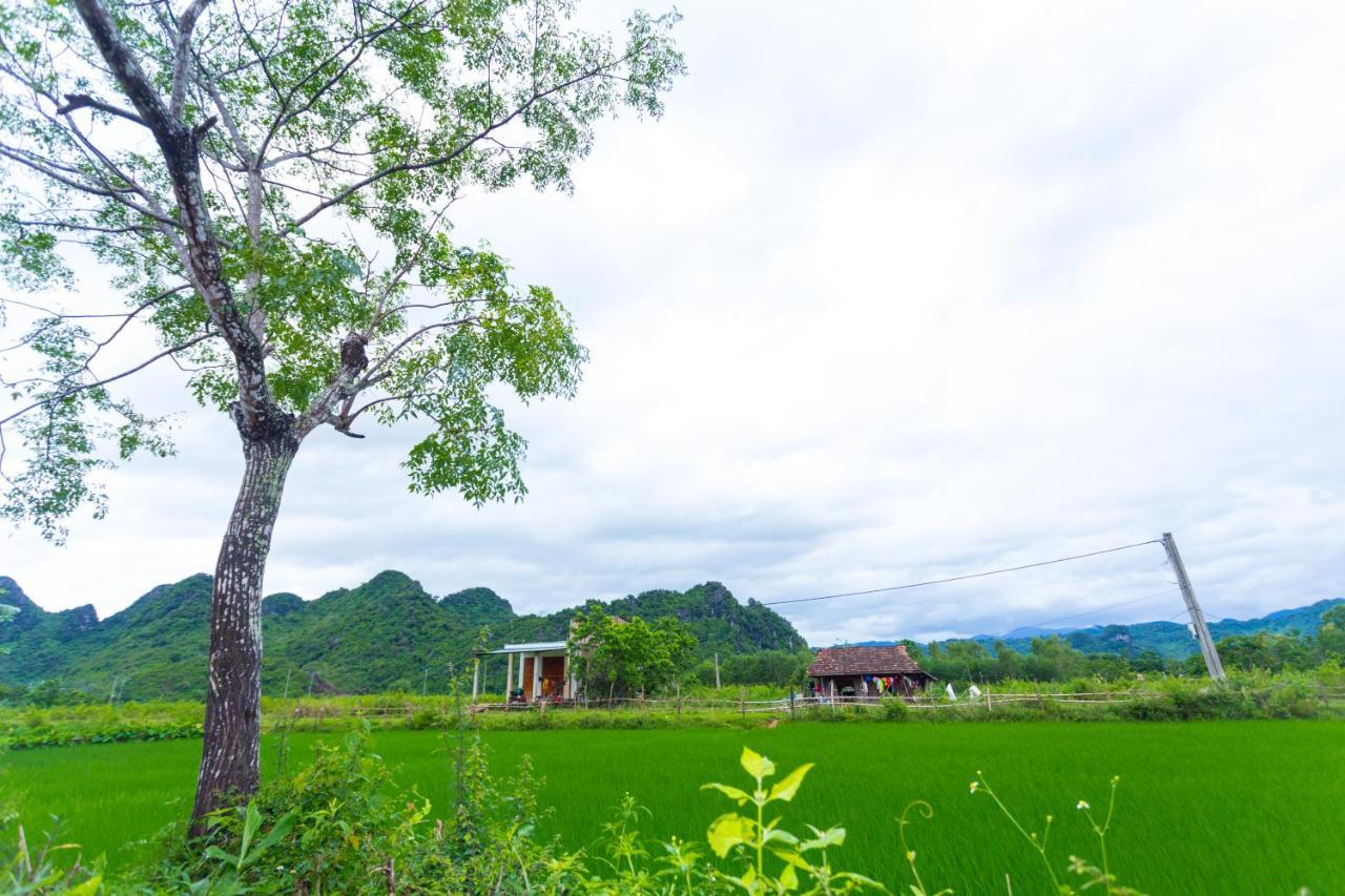 Pomelo Homestay Фонгня Екстер'єр фото