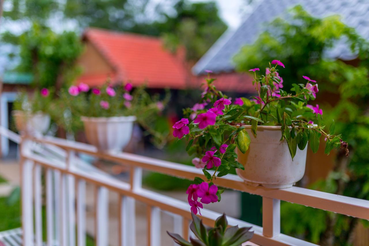 Pomelo Homestay Фонгня Екстер'єр фото